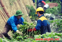 Kế hoạch tổ chức cuộc thi “khoảnh khắc tình nguyện”