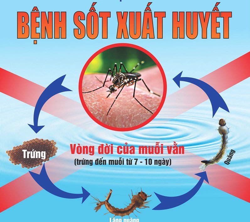 Quyết định thành lập đội tuyên truyền, phòng, chống dịch bệnh sốt xuất huyết