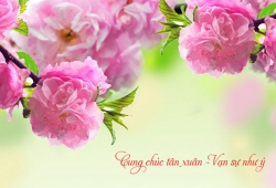 Thông báo kế hoạch nghỉ tết Tết Ất Mùi 2015